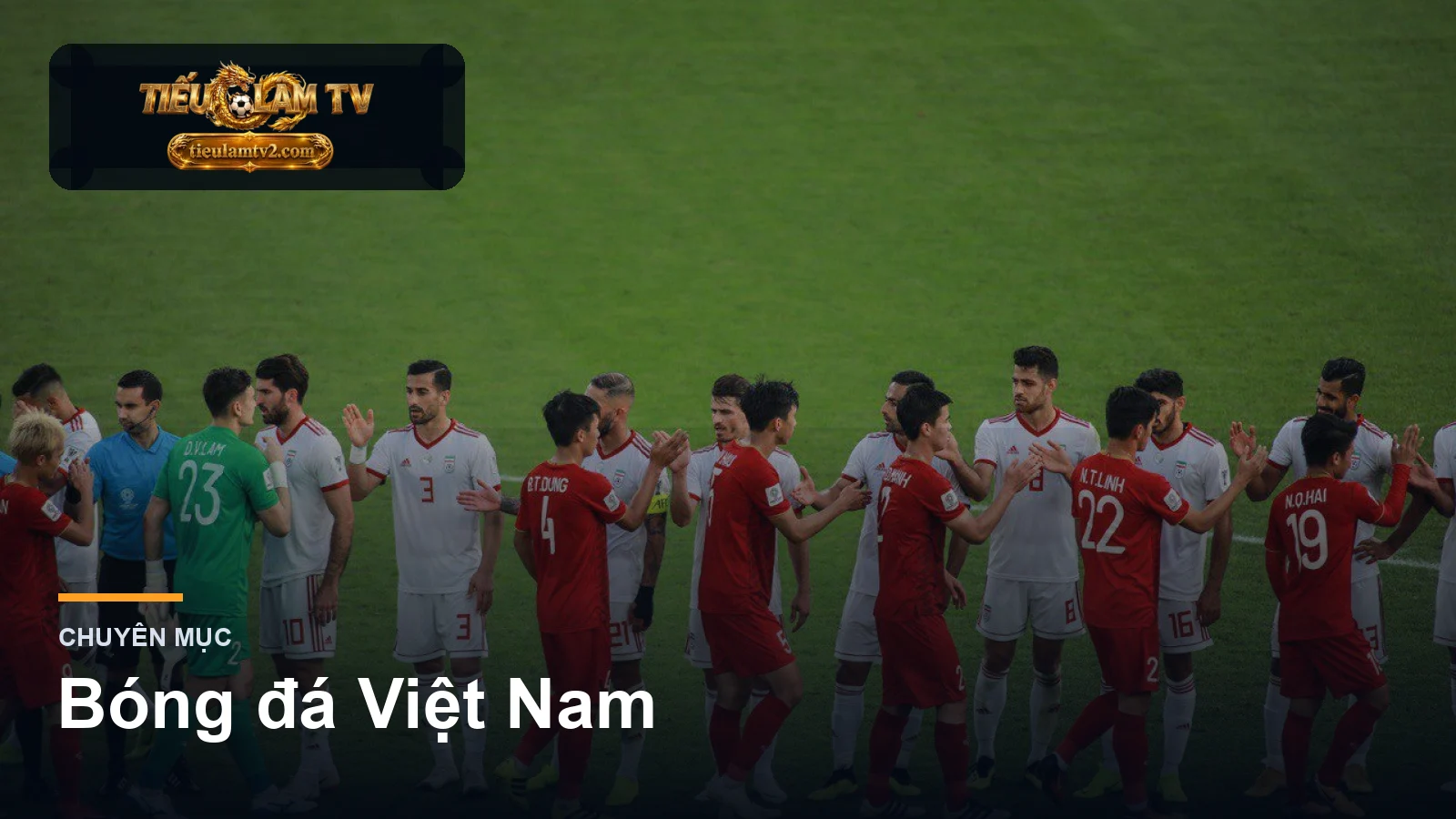 bóng đá Việt Nam trên tieulamtv