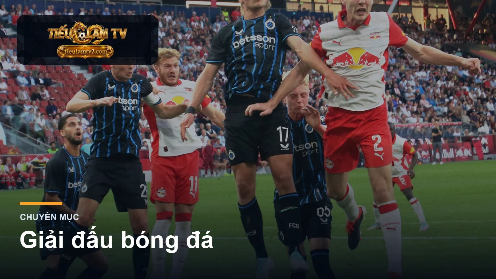 Giải đấu bóng đá trên tieulamtv