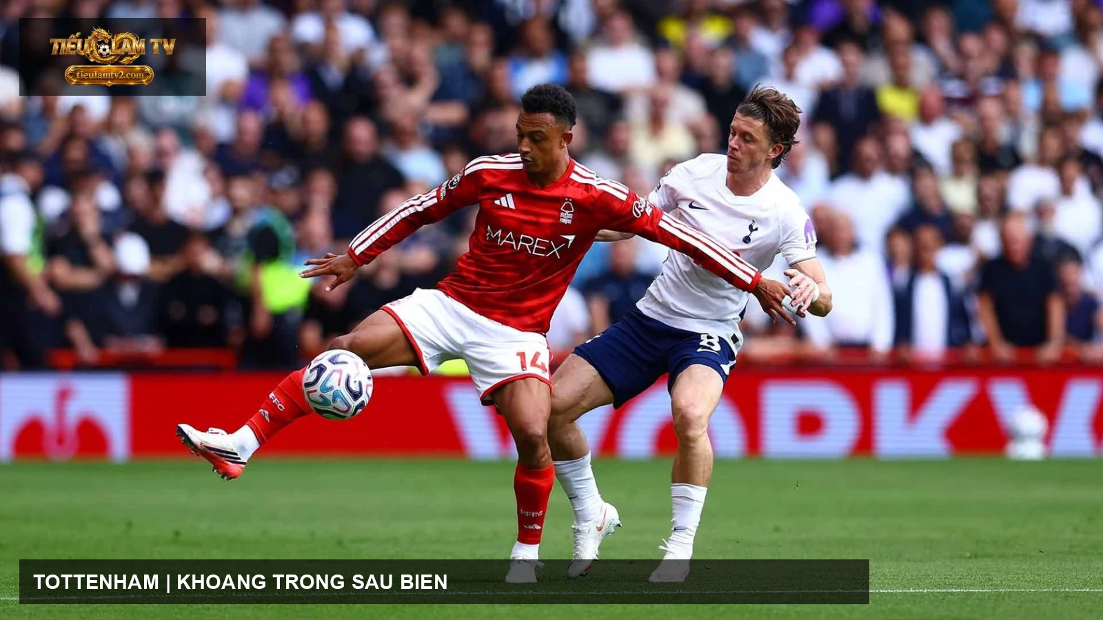 Tottenham tranh chấp trong ảnh tư liệu