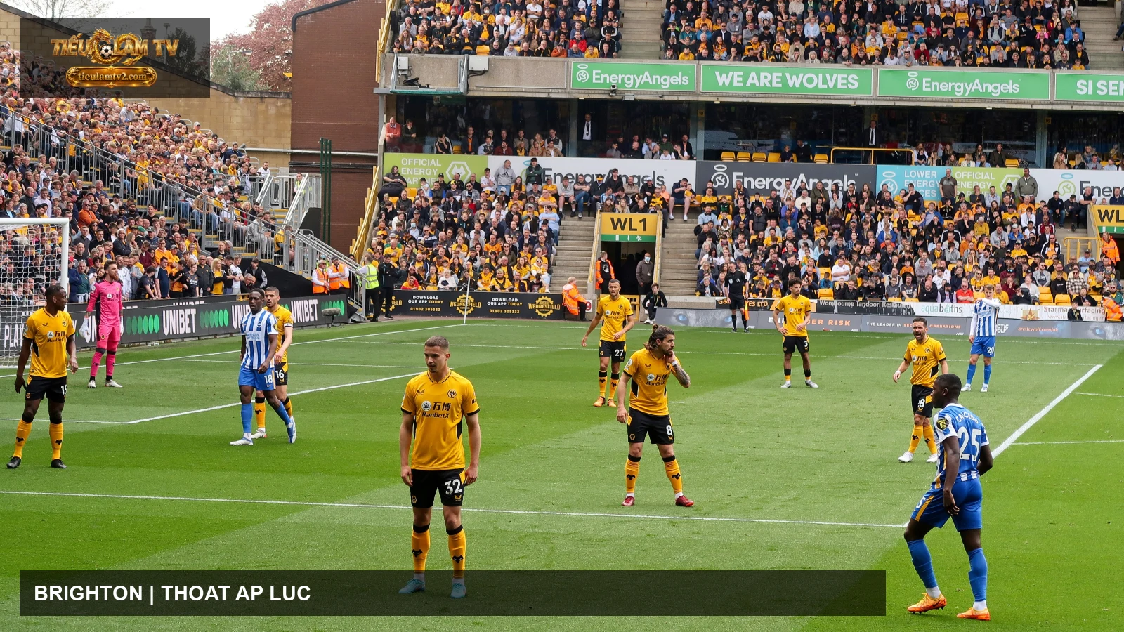 Brighton & Hove Albion thi đấu trước Wolverhampton