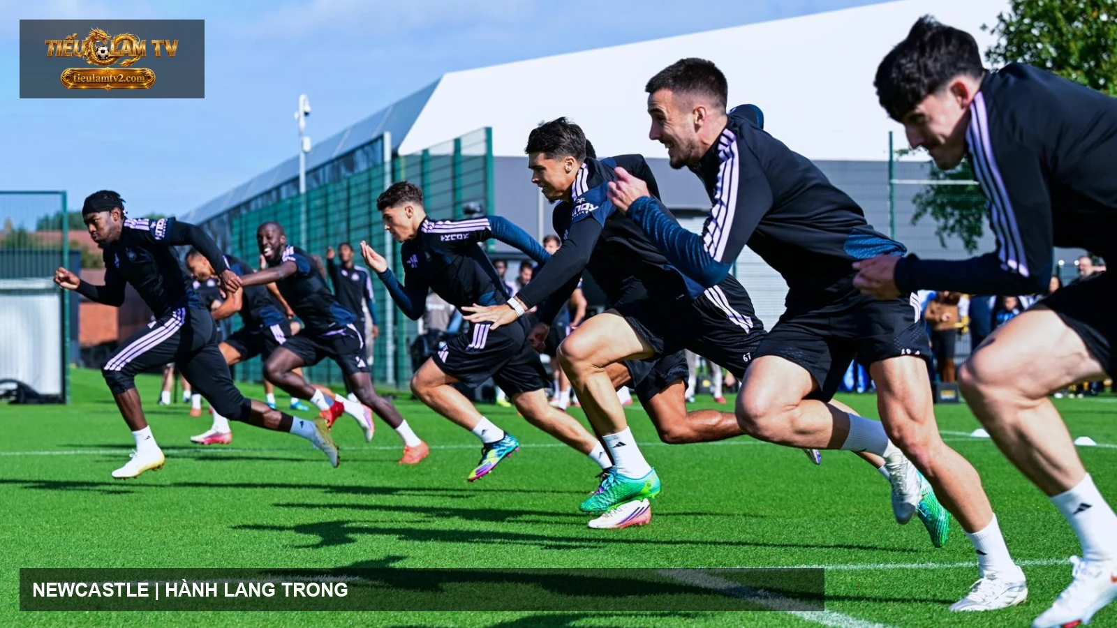 Cầu thủ Newcastle United trên sân tập