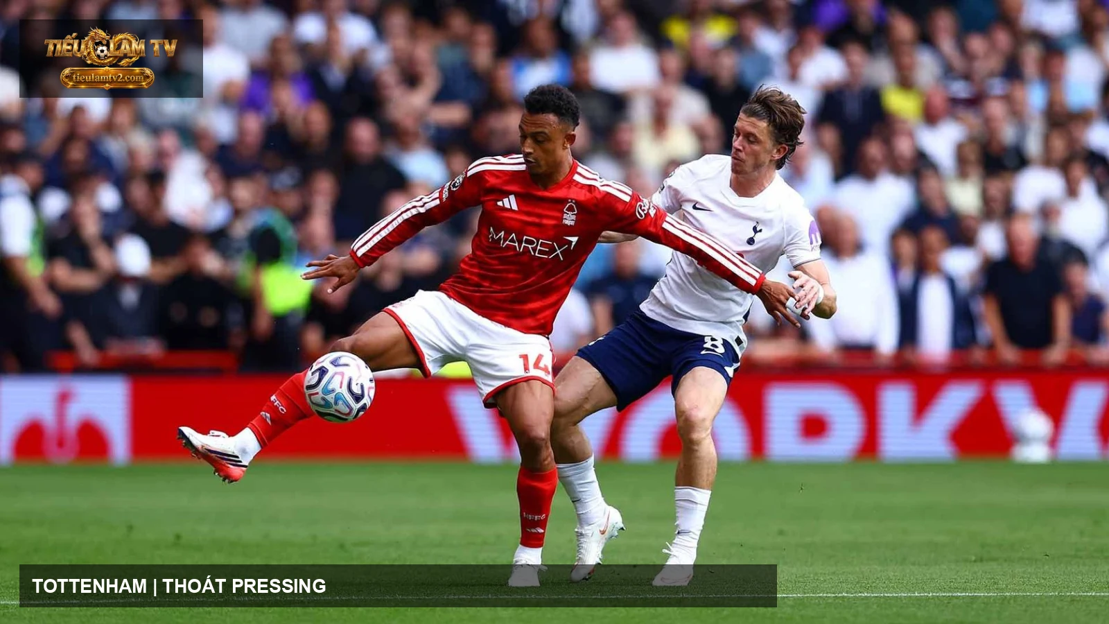 Cầu thủ Tottenham Hotspur trên sân